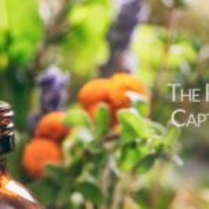 Top Essential Oil Manufacturer